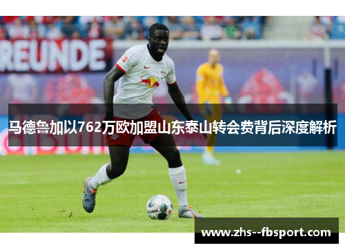 马德鲁加以762万欧加盟山东泰山转会费背后深度解析