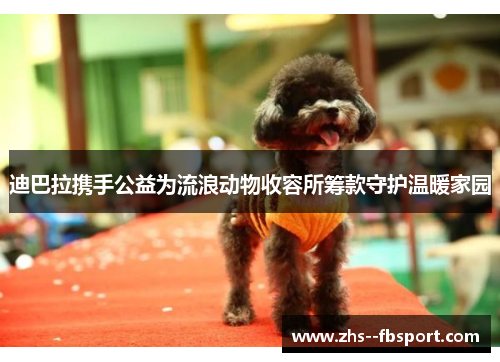 迪巴拉携手公益为流浪动物收容所筹款守护温暖家园