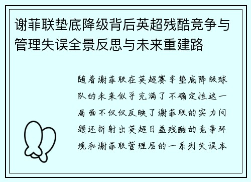 谢菲联垫底降级背后英超残酷竞争与管理失误全景反思与未来重建路