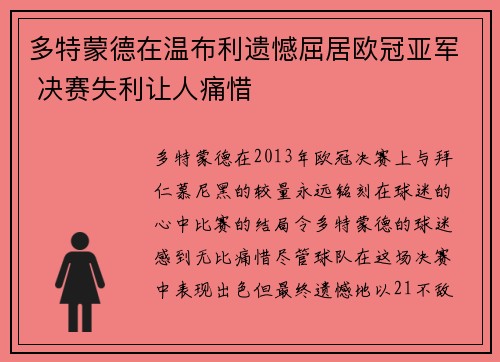 多特蒙德在温布利遗憾屈居欧冠亚军 决赛失利让人痛惜
